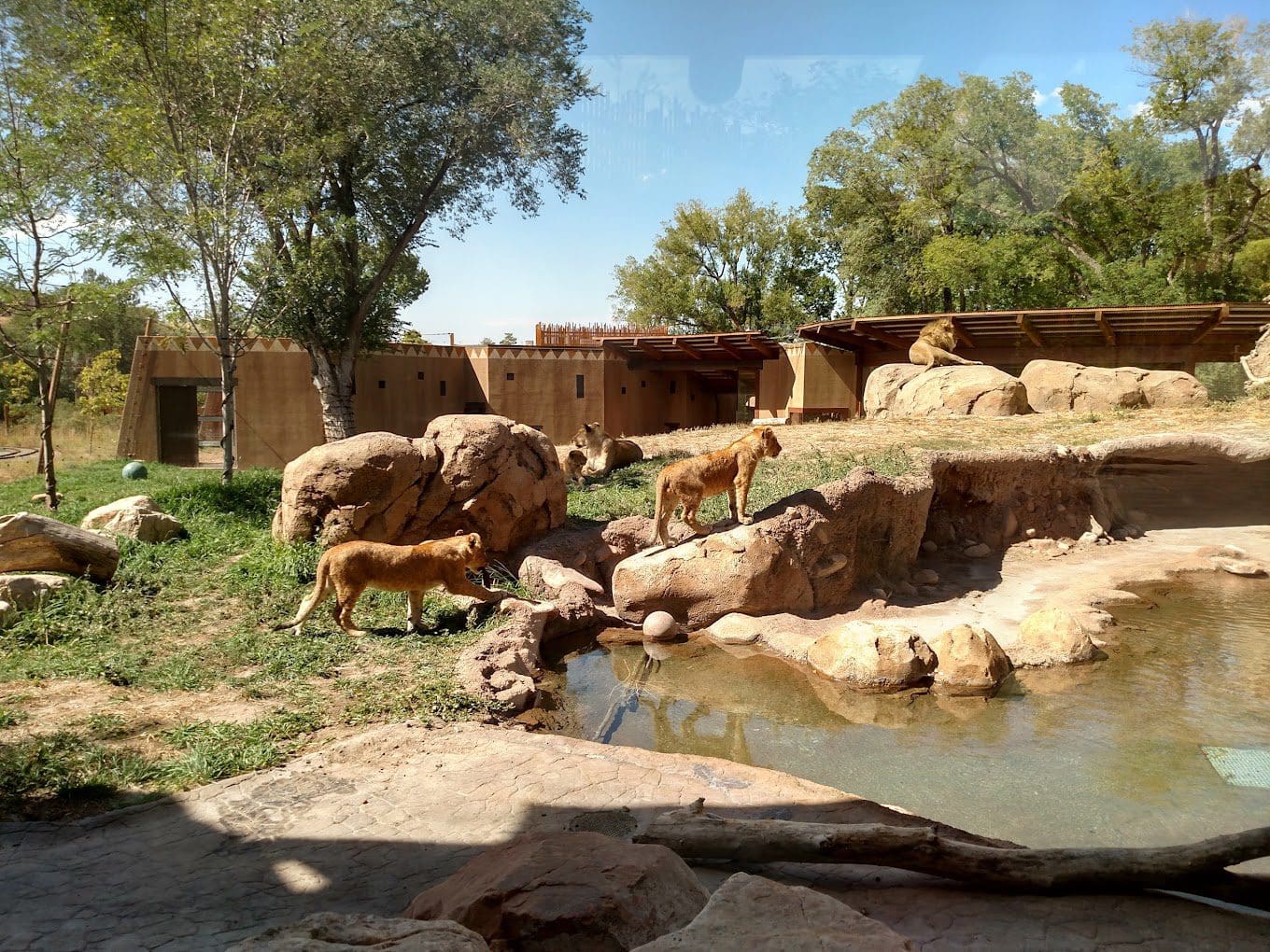 Hogle Zoo
