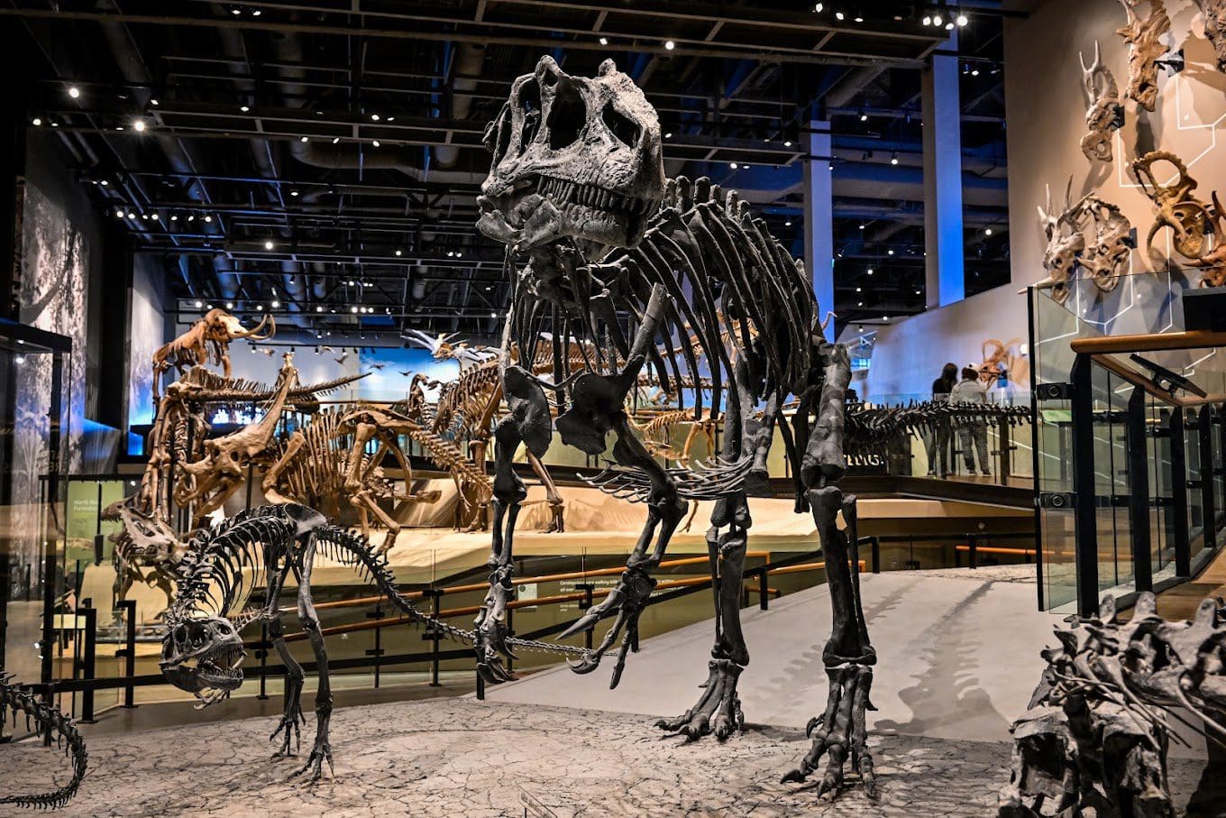Natural History Museum of Utah