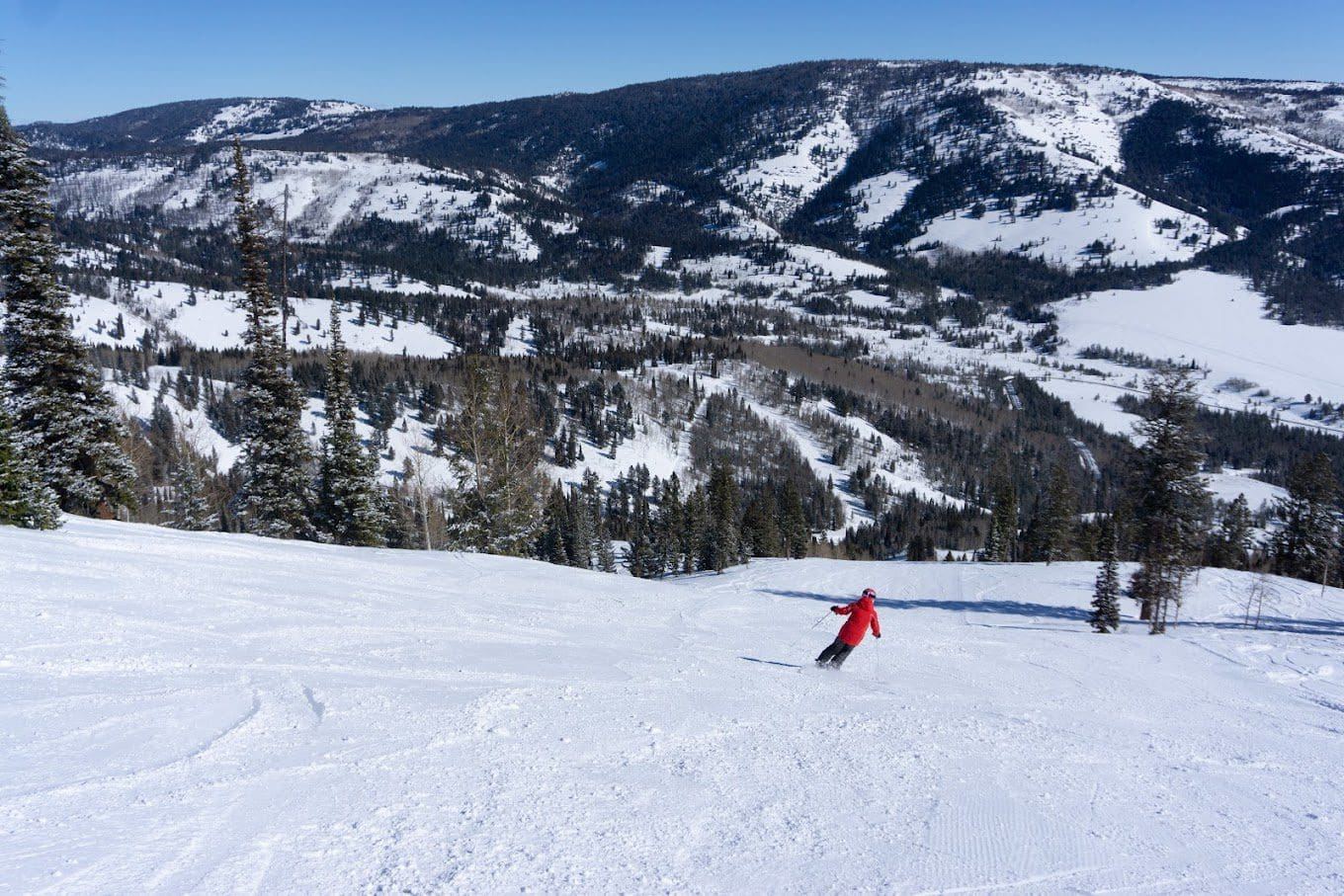 Skiing and Snowboarding